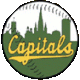 檔案:Bonn Capitals.gif