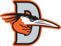 Delmarva Shorebirds logo.svg.png