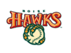 2025 Boise Hawks.png