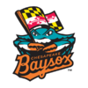 20251 Chesapeake Baysox.png