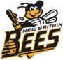 NB Bees.png