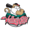 2025 Tri-City ValleyCats.png