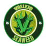 2025 Vallejo Seaweed.png